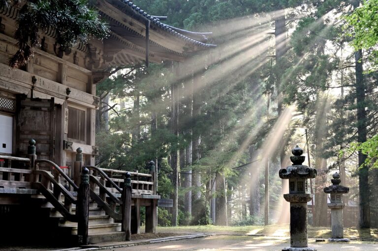 sun rays, forest, nature, koyasan temple, fog, sun beams, trees, japan