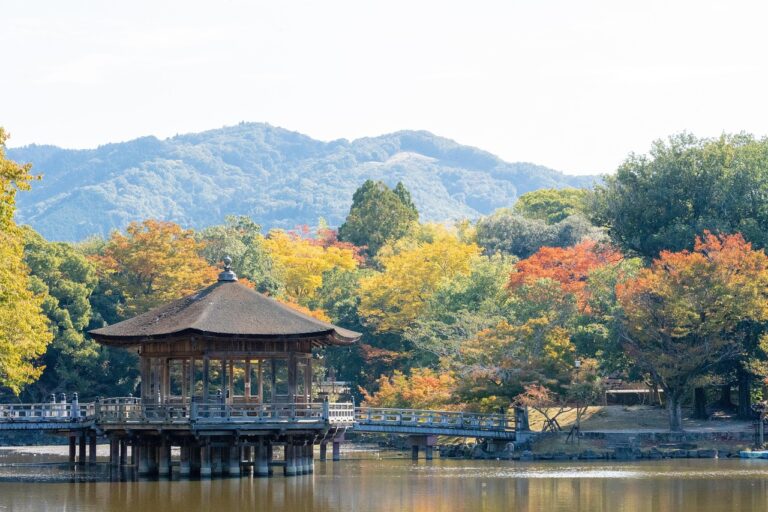 nara, ukimido, temple, pond, autumn, autumnal leaves, landscape, autumn colors, trip, travel, holiday, natural, nara, nara, nara, nara, nara